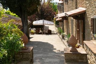 Historic House Among Tuscan Vineyards And Olives - Arezzo - 8