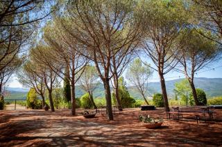 Stone Apartment Among Vineyards Near Arezzo - 6