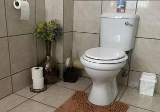 The Lion Room at Frederick's Place - 2