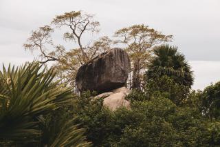 Nature garden resort - Baie d'Arugam - 9