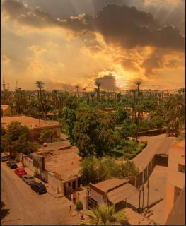 Grand Memphis Hotel in Luxor - Luxor - 6