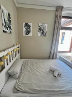 TOP Location Apartment Heidelberg Centrum near Hauptbahnhof, Bismarckplatz, Schloss - 9