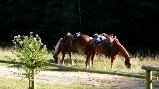 Scherhäuflranch - Mönchdorf - 7