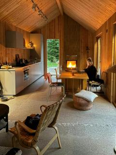 Secluded Modern House In Hide, Gotland - 4