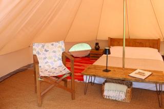 Lilypad, Iris, Bulrush Meadow 10 - Swannington - 9