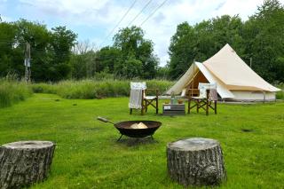 Lilypad, Iris, Bulrush Meadow 10 - Swannington - 2