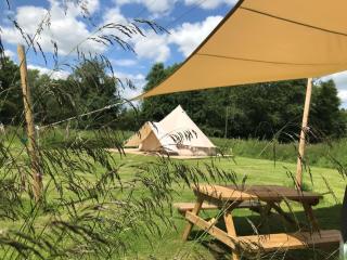 Lilypad, Iris, Bulrush Meadow 10 - Swannington - 1