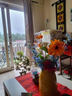 Dogs and Cats Friendly Everything English Home - Brinchang - 2