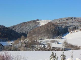 Apartment in Willingen mit Balkon - Willingen - 2