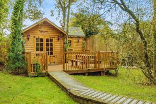 Bears House - Westley Waterless - 0