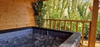 Bears House - Westley Waterless - 7