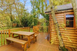 Bears House - Westley Waterless - 3