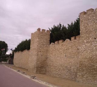 La Casita de Irene - Olmedo - 1