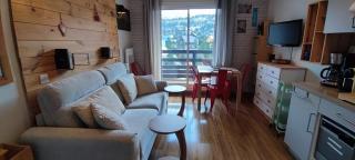 studio Loubat pyrénée, ménage inclus - 8