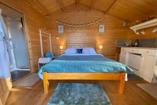 Willow Lodge - Burshill - 9