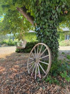 La Grande Rossignol - 6