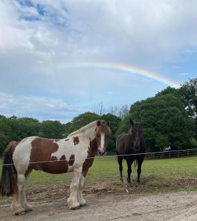 Noahs Ark Shepherds Hut - Launceston - 4