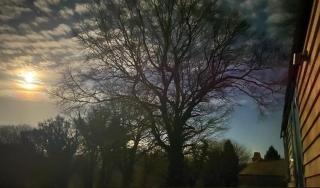 Noahs Ark Shepherds Hut - Launceston - 3
