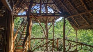 The Alpha monkey tree house - 9