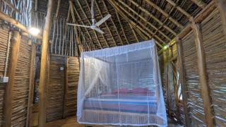 The Alpha monkey tree house - 7
