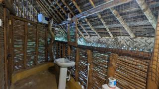 The Alpha monkey tree house - Tangalle - 5