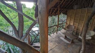 The Alpha monkey tree house - Tangalle - 4