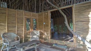 The Alpha monkey tree house - 1