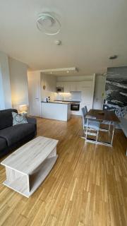 Apartmány ALPINE LIVING Haus - Schladming - 1