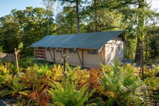 Coniston - Safari Suite - Ambleside - 4