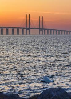 Cool 1-bed in Limhamn Marina by the water - 407 - 2