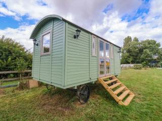 The Dragonfly - Atwick - 8