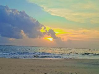 Paradise beach homestay - Alleppey - 8
