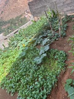 Berber lodge amssouzart - 1