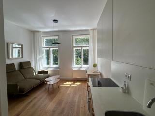 Art Nouveau apartment with garden in Pisek - 9