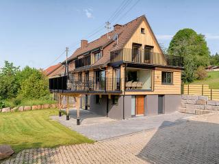 Ferienhaus Bergziege - Eisenbach (Hochschwarzwald) - 9