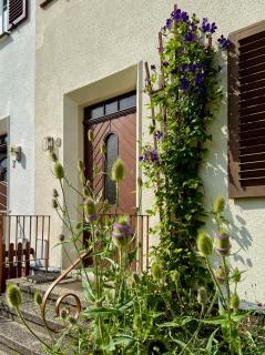 Gartenhaus Erika - Zittau - 7