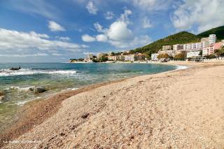 Trottel a Livia - Ajaccio - 0