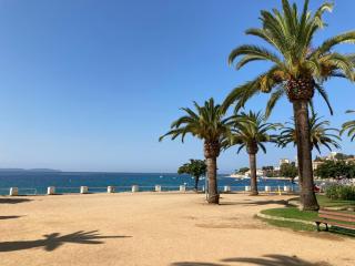 Trottel a Livia - Ajaccio - 1