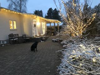 Villa i naturskønt område, tæt på København - Hørsholm - 0