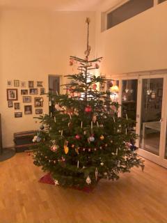 Spacious Villa for Christmas Holiday, close to Copenhagen - 5