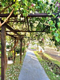 Um quarto na Casa Rosa - 4