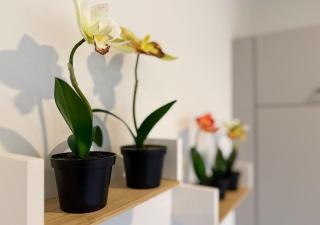City center apartment for 6 - Wiener Neustadt - 8