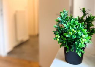 City center apartment for 6 - Wiener Neustadt - 1