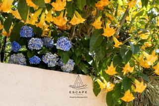 Hilltop Hideaway by Escape to Madeira - Ribeira do Raposo - 8