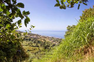 Hilltop Hideaway by Escape to Madeira - Ribeira do Raposo - 5