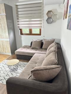 Apartman T&T - Cetinje - 7
