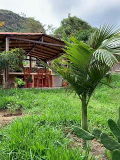 Ana Lucia-Casa del arbol - Aratoca - 5