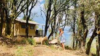 Lodge A NASSA - Olivese - 7