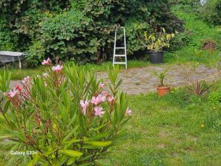 De Weerribben Wieden - Wanneperveen - 5