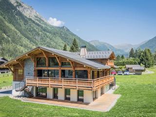 Luxueux chalet neuf 450m² avec spa et parking à Argentière - FR-1-343-264 - 8